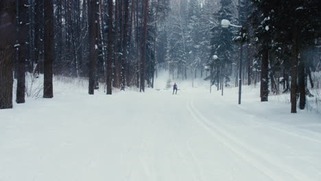 TRACKING-Young-adult-Caucasian-female-athlete-practicing-cross-country-skiing-on-a-scenic-forest-trail.-4K-UHD-60-FPS-SLO-MO